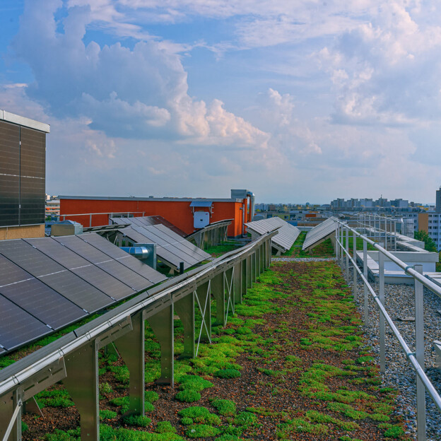 Blick auf den Solardachgarten am Karl-Marx-Ring. Neben einer Photovoltaikanlage sieht man auch das begrünte Dach.